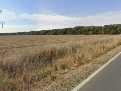 Teren arabil Zona Gruiu