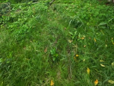 Teren - 412 mp - casa demolabila - 6 minute Metrou Brancoveanu