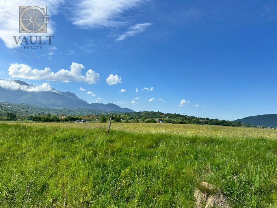 TEREN Intravilan - Tohanul Nou 10.000 mp - ZARNESTI 