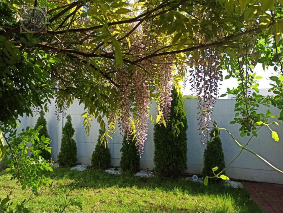 Vila Corbeanca 5 camere | Panouri Solare | Confort Premium | Aproape de Mall