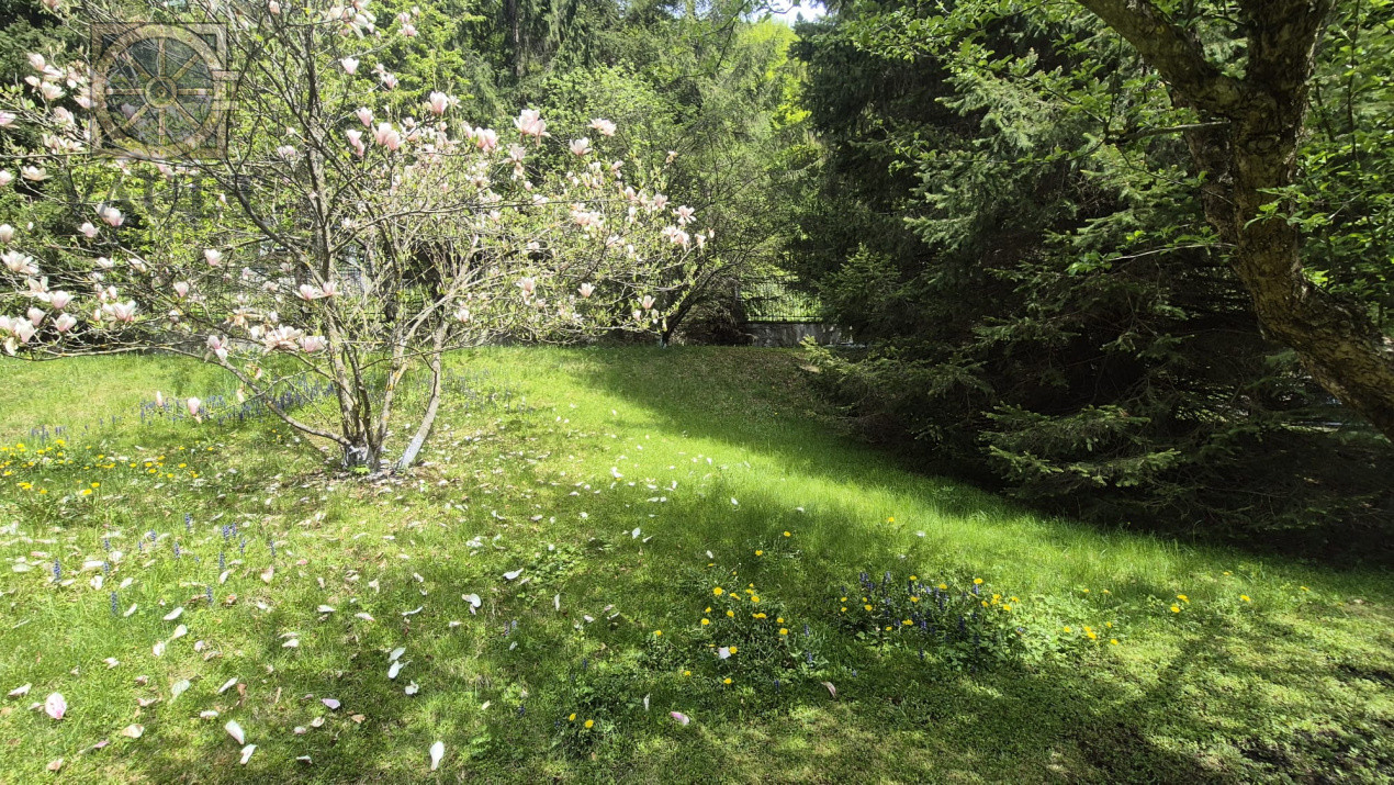 Vila - SINAIA - 4000MP TEREN - Langa Izvorul Dorului