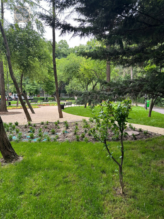 APARTAMENT 2 CAMERE - MALL PLAZA ROMANIA