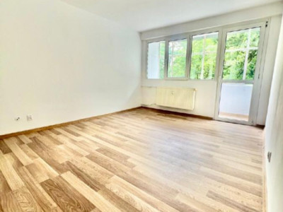 2 CAMERE - DECOMANDAT - GIURGIULUI - VIGONIEI