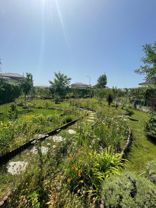 Casa-DEOSEBITA-Gradina-Amenajata-700MP-EDA-RESIDENCE-BALOTESTI