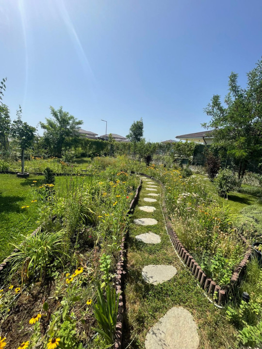 Casa-DEOSEBITA-Gradina-Amenajata-700MP-EDA-RESIDENCE-BALOTESTI