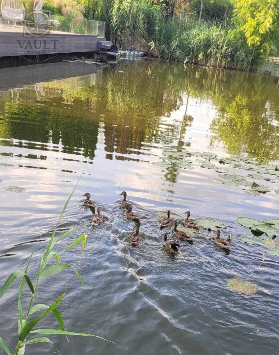 Vila 3 Camere Lacul Snagov- Izvorani 