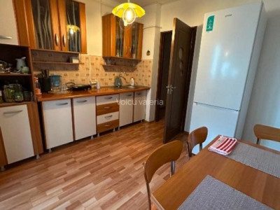 Apartament 2 camere Teiul Doamnei
