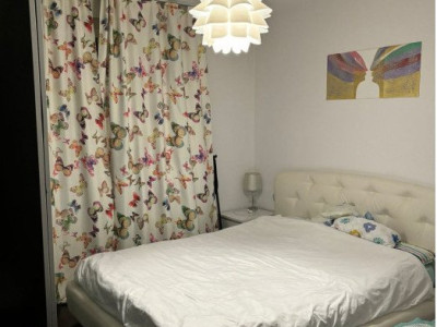 Apartament 2 camere - Strada Nitu Vasie