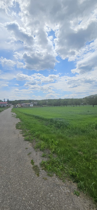 Teren 2700mp Silistea Snagov-Gruiu