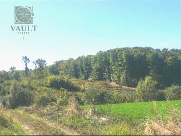 Teren - Snagov -900MP