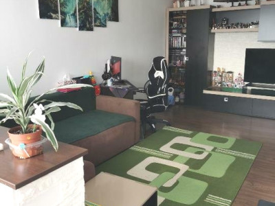 APARTAMENT 3 CAMERE DECOMANDAT  -DRISTOR -PARK LAKE 