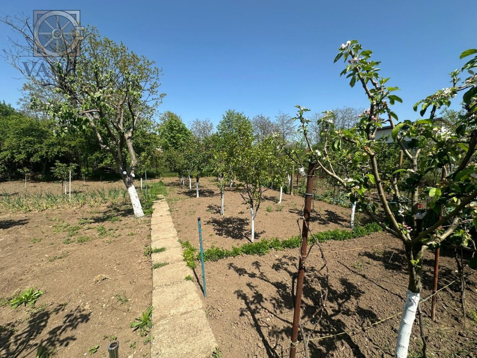 Casa -  Mogosoaia - Individuala - 