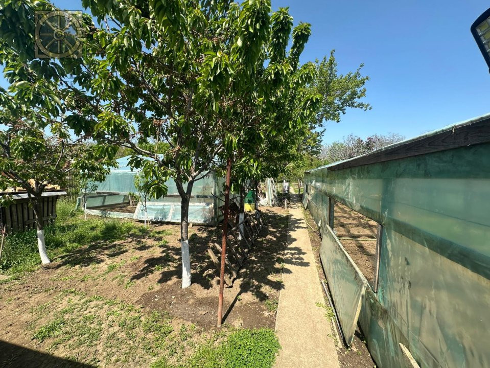 Casa -  Mogosoaia - Individuala - 