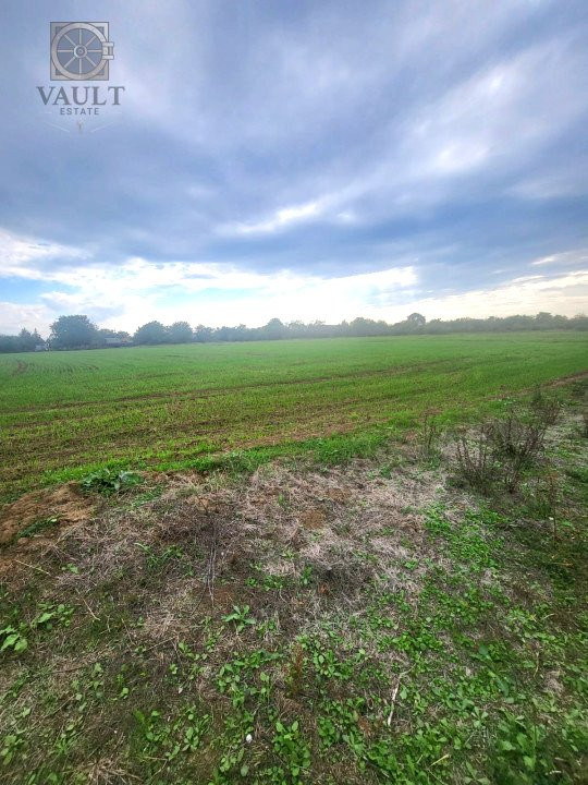 Teren Butimanu - 3700 mp-deschidere lac