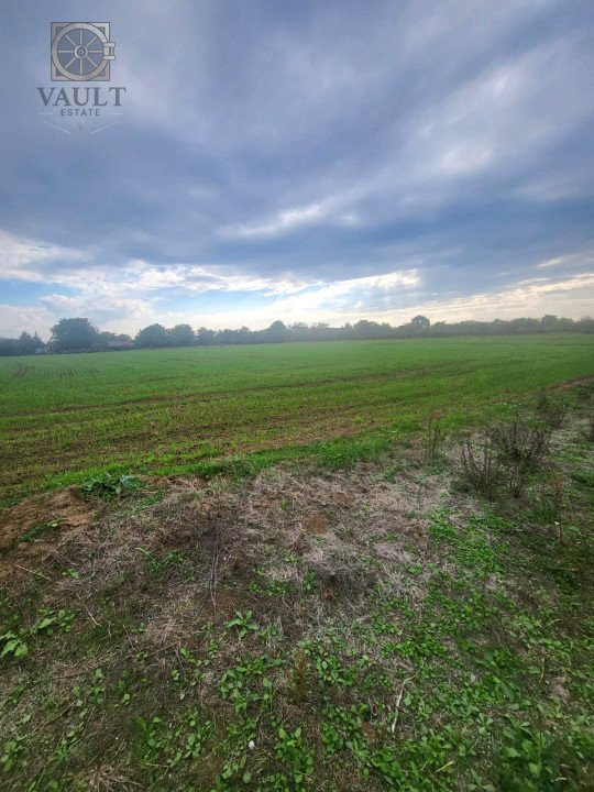 Teren Lucianca - Butimanu - deschidere la DN