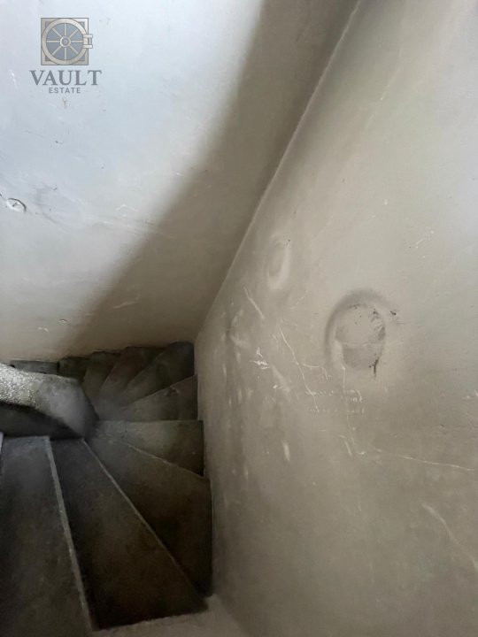 Villa Interblica - Parcul Carol