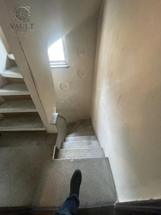 Villa Interblica - Parcul Carol