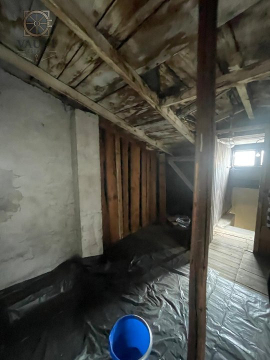 Villa Interblica - Parcul Carol