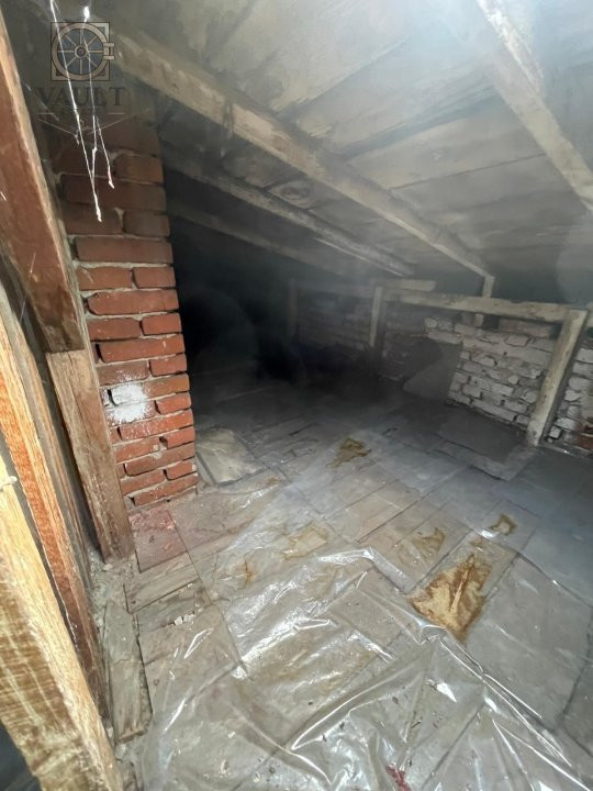 Villa Interblica - Parcul Carol