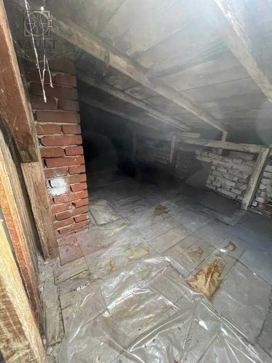 Villa Interblica - Parcul Carol