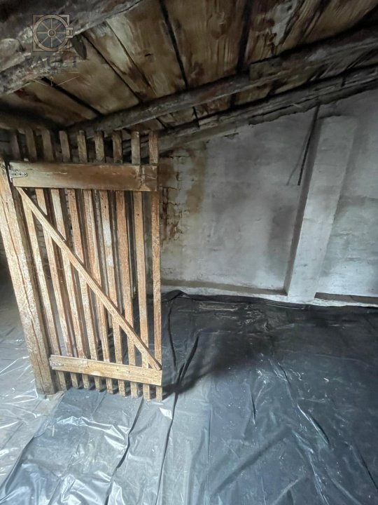 Villa Interblica - Parcul Carol