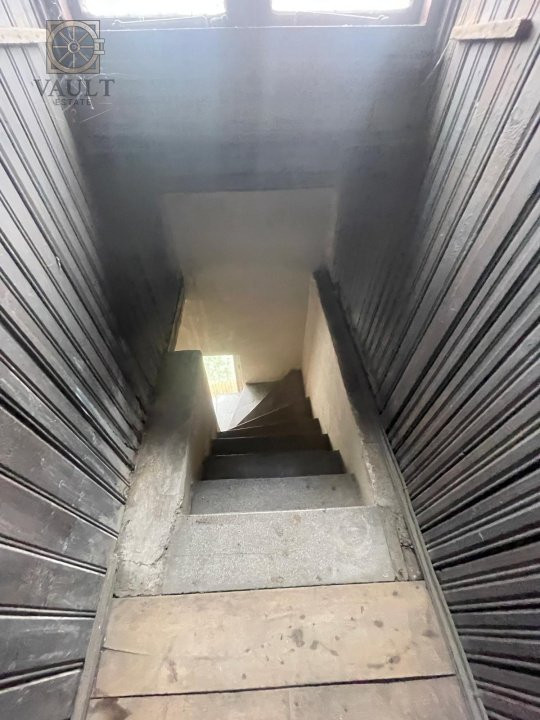 Villa Interblica - Parcul Carol