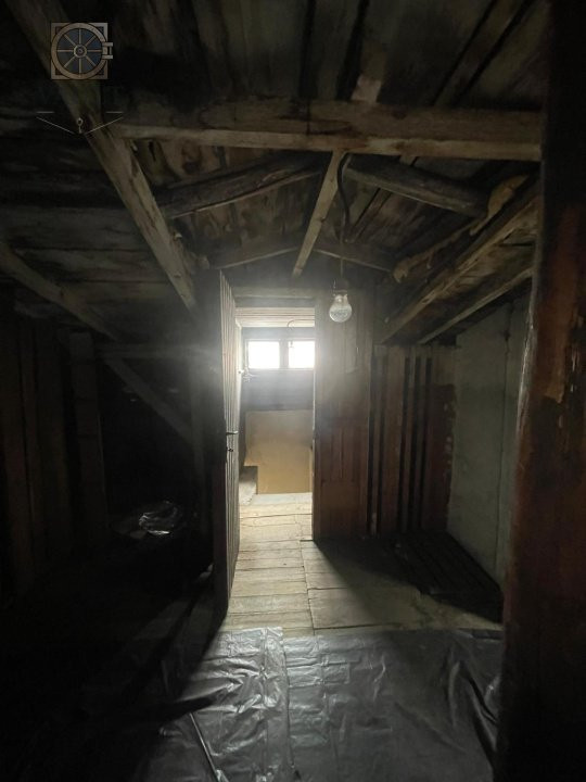 Villa Interblica - Parcul Carol