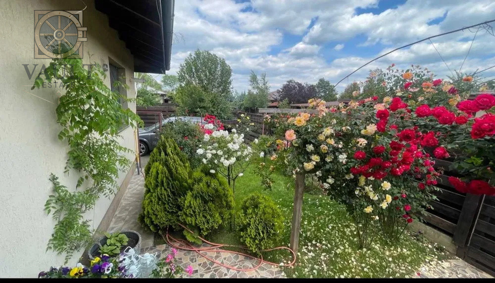 Casa individuala Balotesti